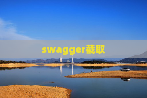 swagger截取